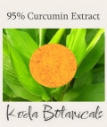 Turmeric 95% curcumin Extract Powder 20g